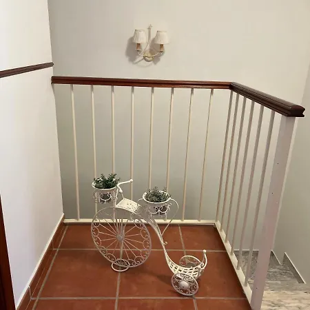 Apartamento Alandroal. *